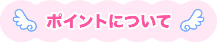 ポイントについて